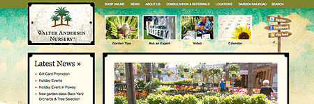 Top 10 Reasons Why the New Walter Andersen Website Yields Big Results
