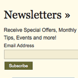 Easy Newsletter Sign-up Functionality