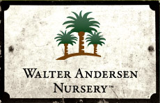 Walter Andersen